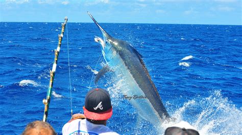 deep sea fishing services kona hi|The 6 Best Deep Sea Fishing Charters in Kona.